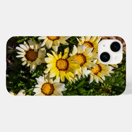 Mooie gele Gazania bloemen in de tuin Case-Mate iPhone Case (Achterkant (horizontaal))
