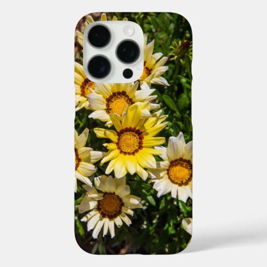 Mooie gele Gazania bloemen in de tuin Case-Mate iPhone Case (Achterkant)