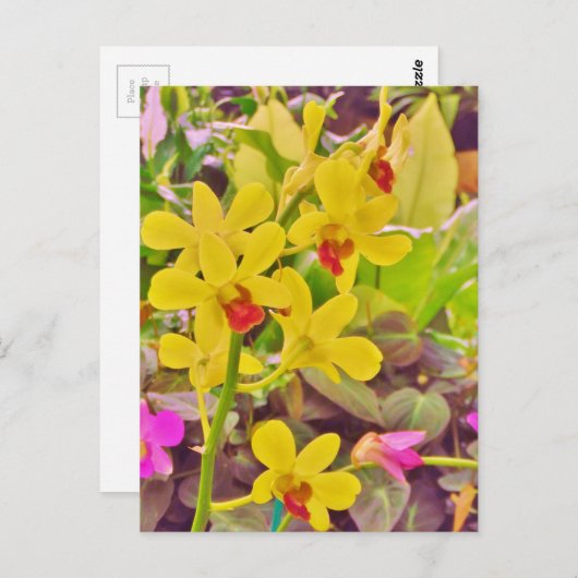 Mooie gele herfstorchideeën briefkaart (Voorkant / Achterkant)