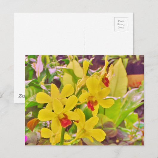 Mooie gele herfstorchideeën briefkaart (Voorkant / Achterkant)