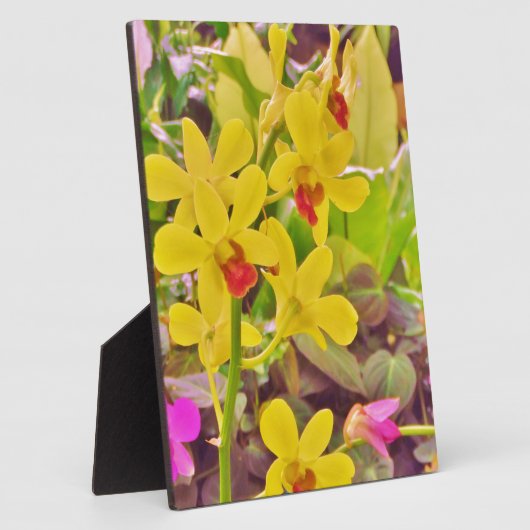 Mooie gele herfstorchideeën fotoplaat (Zijkant)