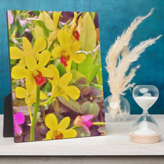 Mooie gele herfstorchideeën fotoplaat (Zijkant)