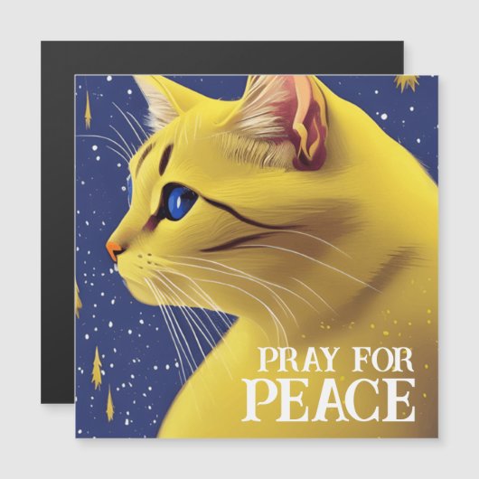 Mooie gele kat met blauwe ogen - oekraïne (Voorkant / Achterkant)