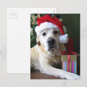 Mooie gele labrador kerstman feestdagenkaart (Voorkant / Achterkant)