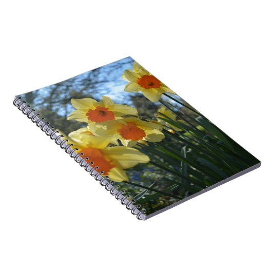 Mooie gele lente, oranje daffodilbloemen notitieboek (Rechterzijde)