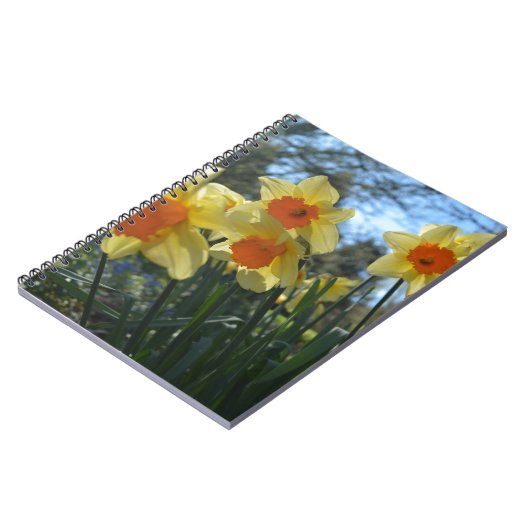 Mooie gele lente, oranje daffodilbloemen notitieboek (Linkerzijde)