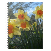 Mooie gele lente, oranje daffodilbloemen notitieboek (Voorkant)