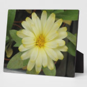 Mooie Gele Marigold Plaque Fotoplaat (Zijkant)