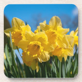 Mooie gele narcissen bier onderzetter (Voorkant)