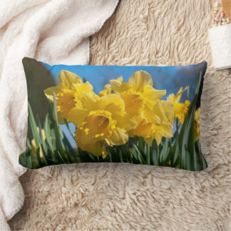 Mooie gele narcissen kussen