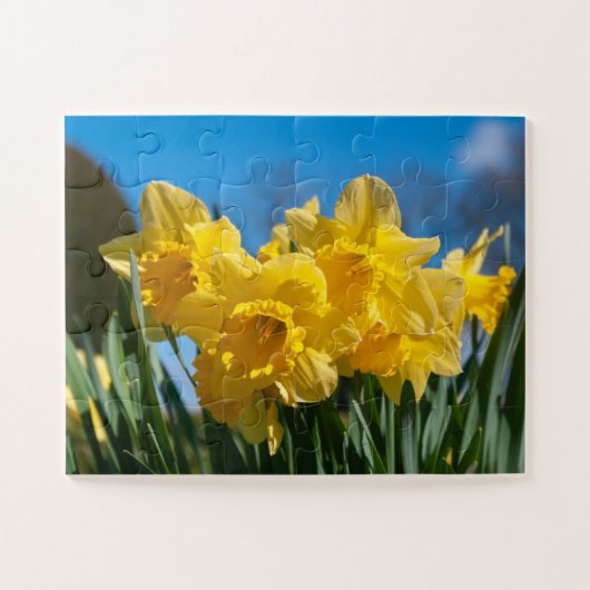 Mooie gele narcissen legpuzzel (Horizontaal)