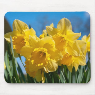Mooie gele narcissen muismat