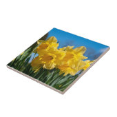 Mooie gele narcissen tegeltje (Zijkant)