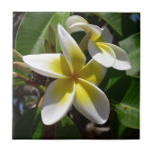 Mooie gele pellerbloem tegeltje (Voorkant)