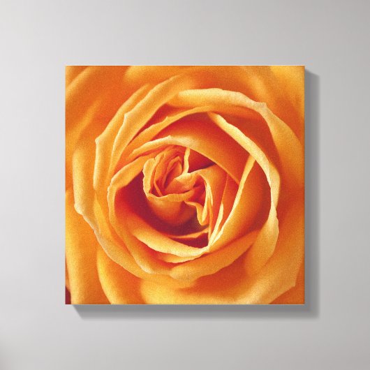 Mooie Gele Roos Bloem Bloemstuk Canvas Afdruk (Voorkant)