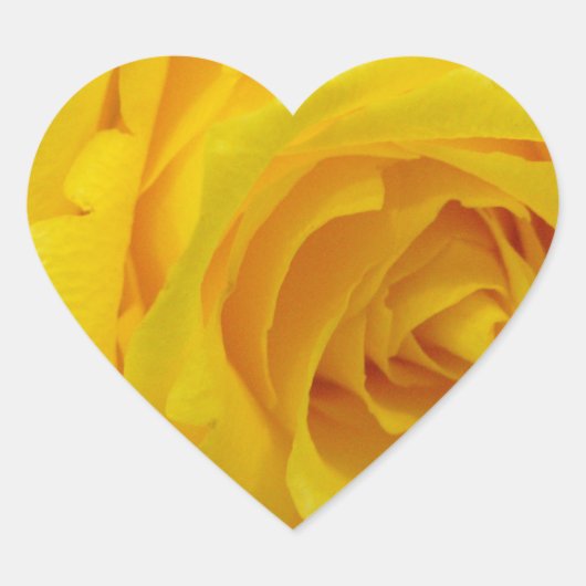 mooie gele roos bloem fotografie hart sticker (Voorkant)