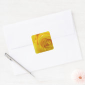 mooie gele roos bloem fotografie vierkante sticker (Envelop)