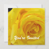 Mooie gele roos bloem lege huwelijks-, feest-, kaart (Achterkant)