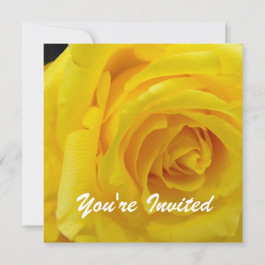 Mooie gele roos bloem lege huwelijks-, feest-, kaart (Achterkant)