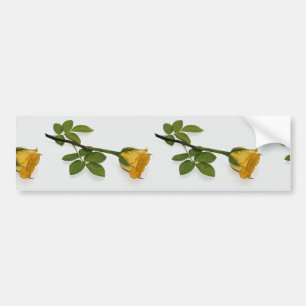 Mooie gele roos bumpersticker