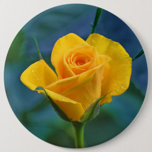 Mooie gele roos ronde button 6,0 cm