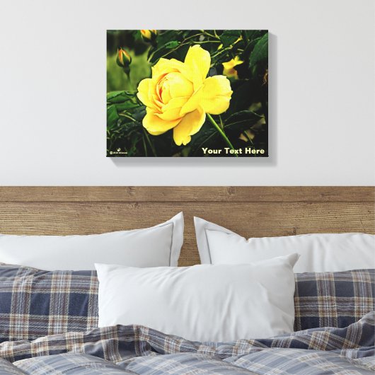 Mooie gele Rose Canvas Afdruk (Insitu (Slaapkamer))