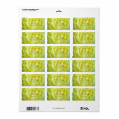 Mooie gele Rose Etiket (Full Sheet)