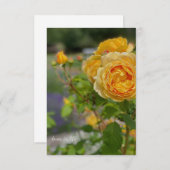 Mooie gele Rose Notitiekaartje (Voorkant / Achterkant)