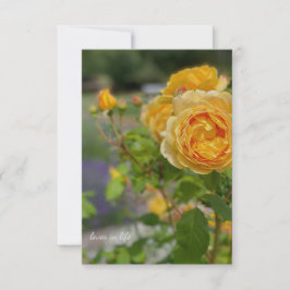 Mooie gele Rose Notitiekaartje