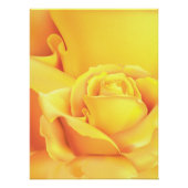 Mooie gele Rose Perfect Poster (Voorkant)