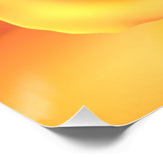 Mooie gele Rose Perfect Poster (Hoek)