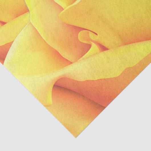 Mooie gele Rose Tissuepapier (Detail)