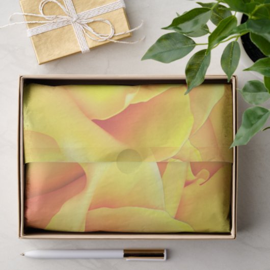 Mooie gele Rose Tissuepapier (Geschenk)