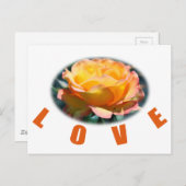 mooie gele roze bloem foto kunst cadeau briefkaart (Voorkant / Achterkant)