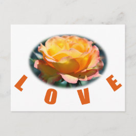 mooie gele roze bloem foto kunst cadeau briefkaart