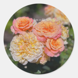 Mooie Gele & Roze Rozen Ronde Sticker
