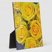 Mooie gele rozen fotoplaat (Zijkant)