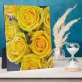 Mooie gele rozen fotoplaat (Zijkant)