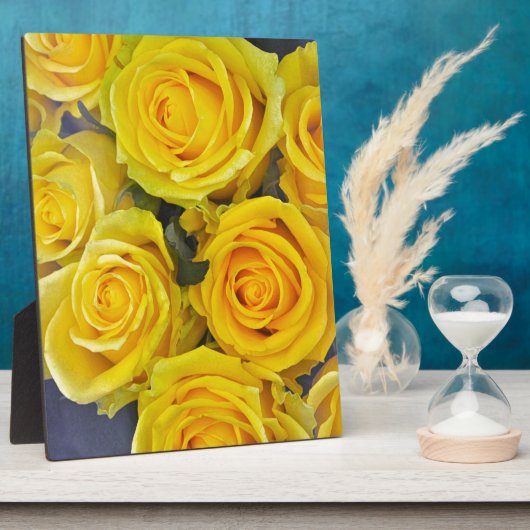 Mooie gele rozen fotoplaat (Zijkant)