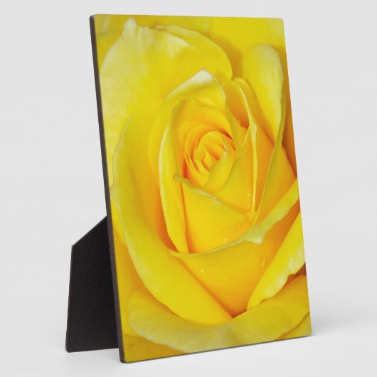 Mooie gele rozenbladen fotoplaat (Zijkant)