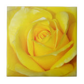 Mooie gele rozenbladen tegeltje (Voorkant)