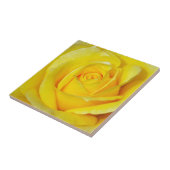 Mooie gele rozenbladen tegeltje (Zijkant)
