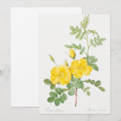 Mooie gele rozenbloem  kaart (Voorkant / Achterkant)