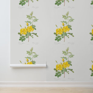 Mooie gele rozentuin meisjesbloem behang