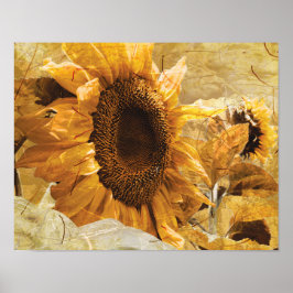 Mooie gele textuur Giant Sunflower Foto Art Poster