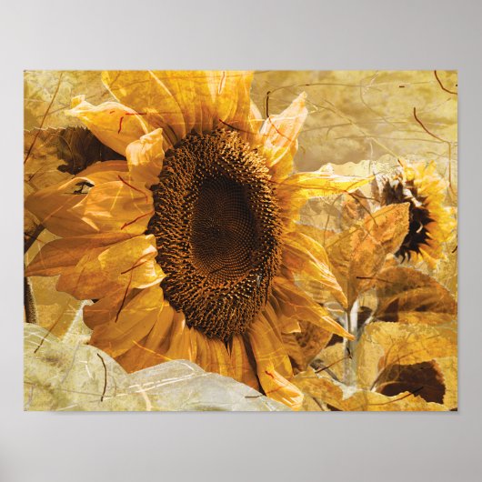 Mooie gele textuur Giant Sunflower Foto Art Poster (Voorkant)