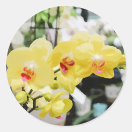 Mooie gele tropische Orchidee Bloem schilderij Ronde Sticker