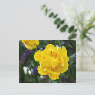 Mooie gele tulpen in de tuin briefkaart