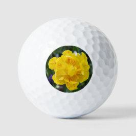 Mooie gele tulpen in de tuin golfballen