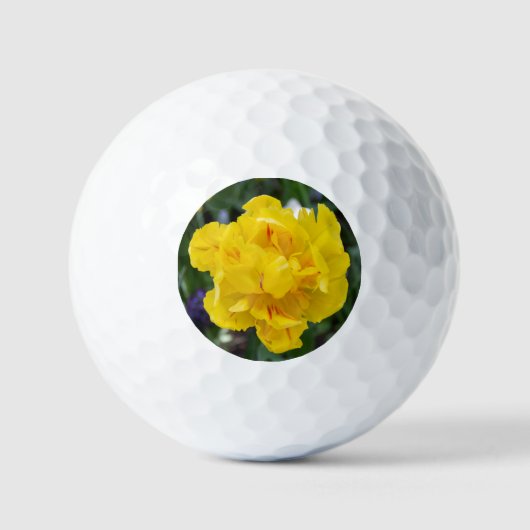 Mooie gele tulpen in de tuin golfballen (Voorkant)